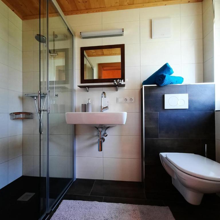 Alpenzauber Apartment Montafon - Apartment mit Dusche - 12