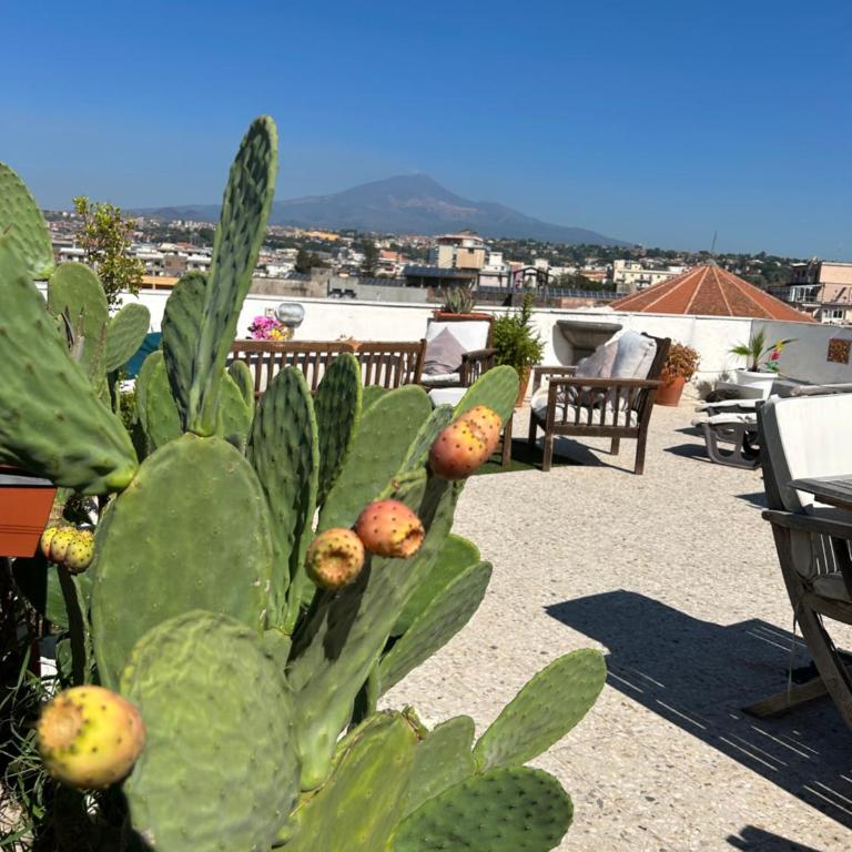Residenza Parco Gioeni - Apartment with Terrace - 8