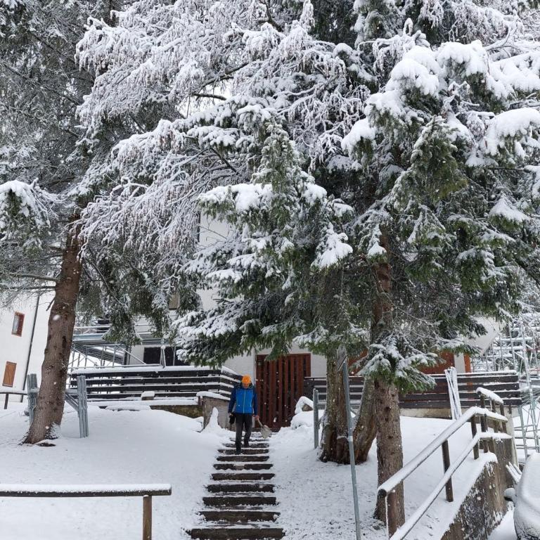 Casa ampia Funghetto sulle piste di Folgarida - Appartamento con 2 Camere da Letto - 11