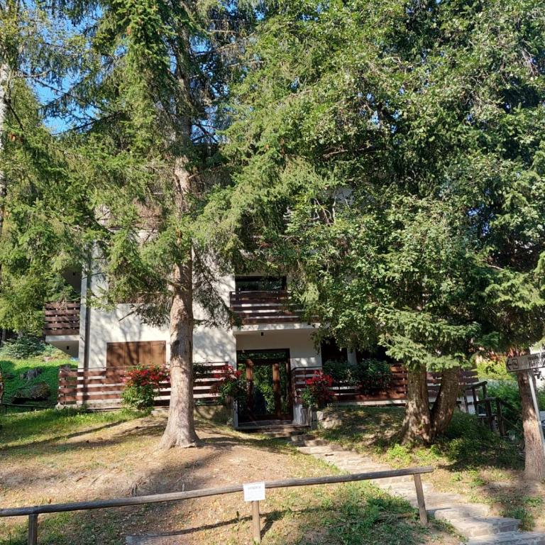 Casa ampia Funghetto sulle piste di Folgarida - Appartamento con 2 Camere da Letto - 12