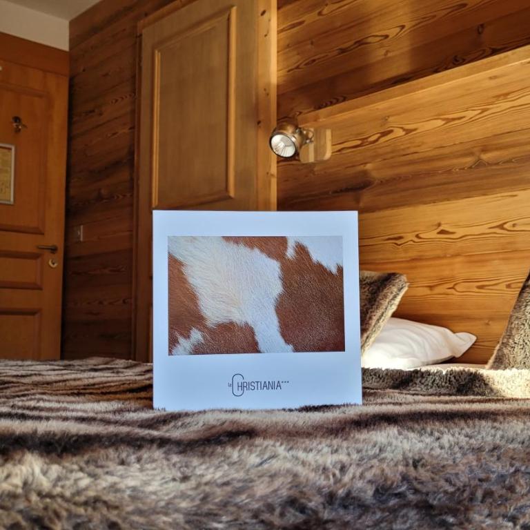 Hotel Christiania - Chambre Double - 7