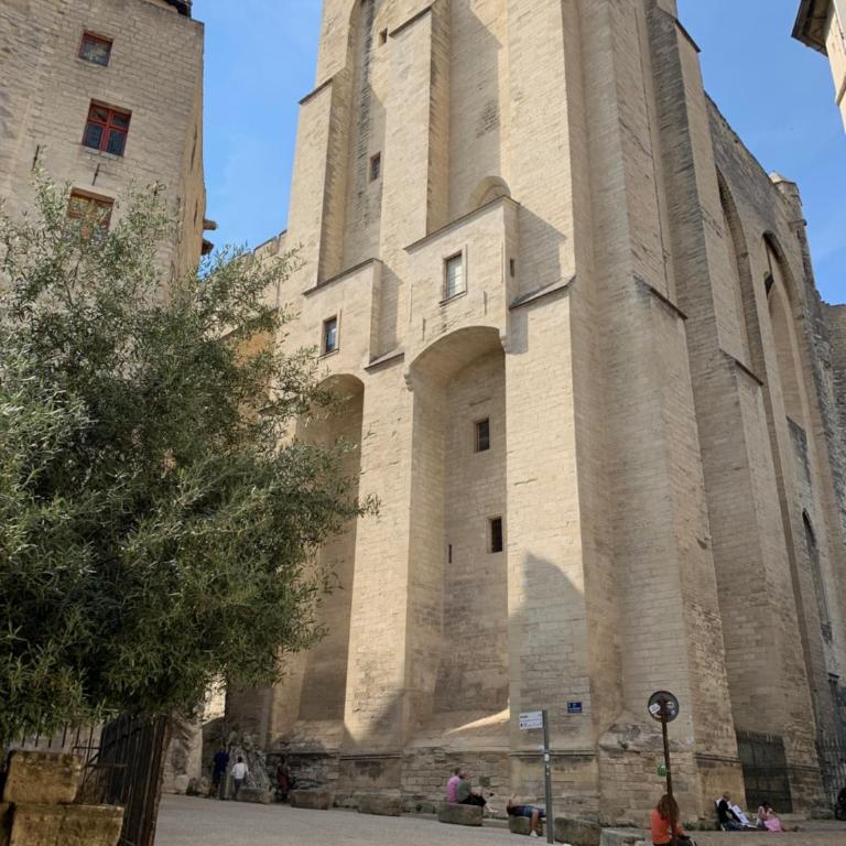 Idéalement situé au pied du Palais des papes - Apartment mit 1 Schlafzimmer - 18