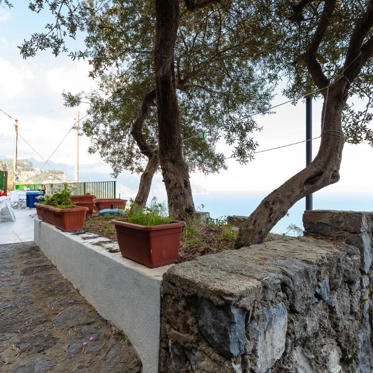 Residenza Gennaro - Casa Vacanze - 20