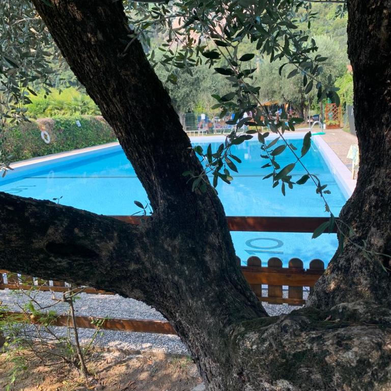 Residence Cascata Varone - Appartamento con 1 Camera da Letto (4 Adulti) e Vista Lago - 29