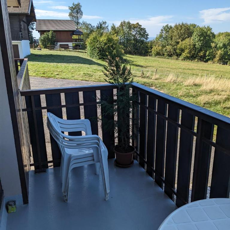 Studio au coeur de la montagne - Appartement 1 Chambre - 22
