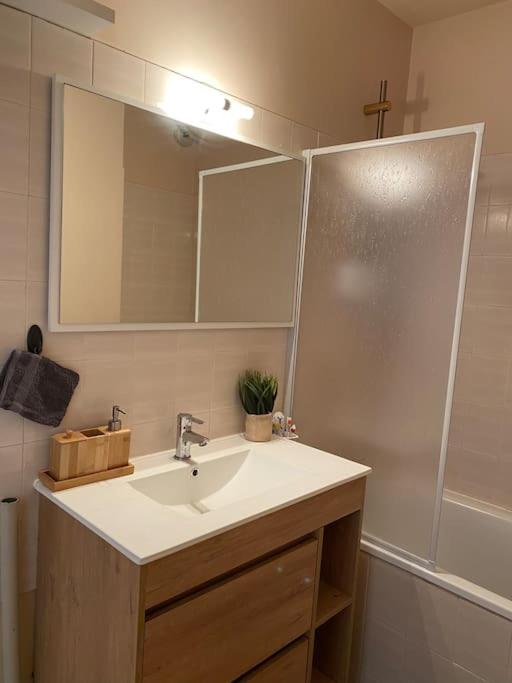 Studio Bd Joseph Girod Clermont Centre - Appartement 1 Chambre - 11