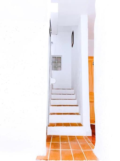 Casa Veronica 6 , 1 dormitorio - Apartamento de 1 dormitorio - 9