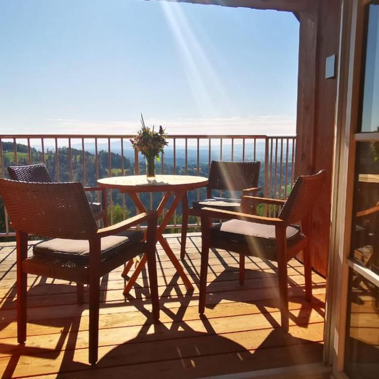 Chalet-Südsteiermark - traumhafte Aussicht, Infinity Pool, Privatsphäre, Klima und de-luxe Ausstattung - Chalet mit 2 Schlafzimmern - 7