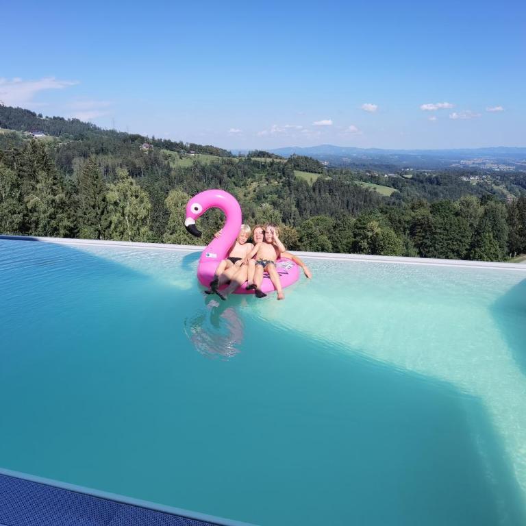 Chalet-Südsteiermark - traumhafte Aussicht, Infinity Pool, Privatsphäre, Klima und de-luxe Ausstattung - Chalet mit 2 Schlafzimmern - 9