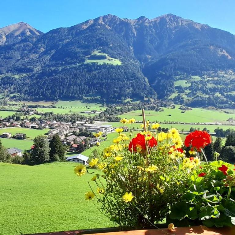 Ferienwohnung am Krausberghof mit Balkon und Parkplatz, 6 Fahrminuten zur Alpentherme Gastein und zur Schlossalmbahn - Apartment mit Balkon - 2