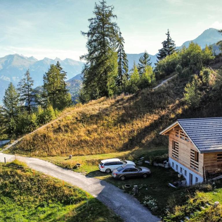 Modern chalet surrounded by nature in Vercorin - Chalet - 1