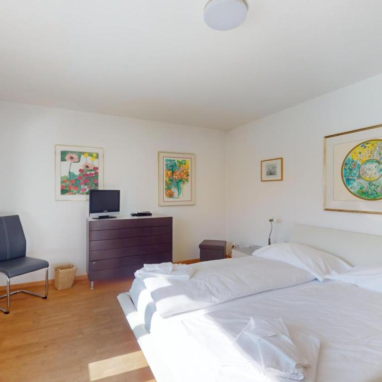 Haus Leibnitzer - Penthouse-Apartment - 16
