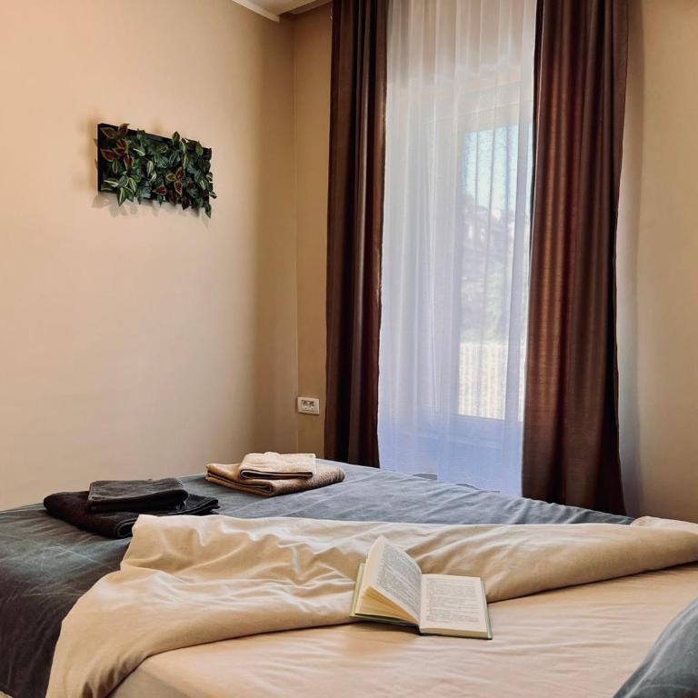 Old Gold Downtown Belgrade - Studio Apartman - 6