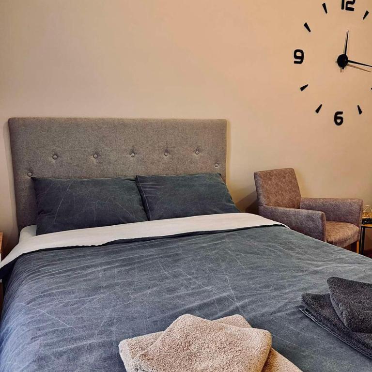 Old Gold Downtown Belgrade - Studio Apartman - 5