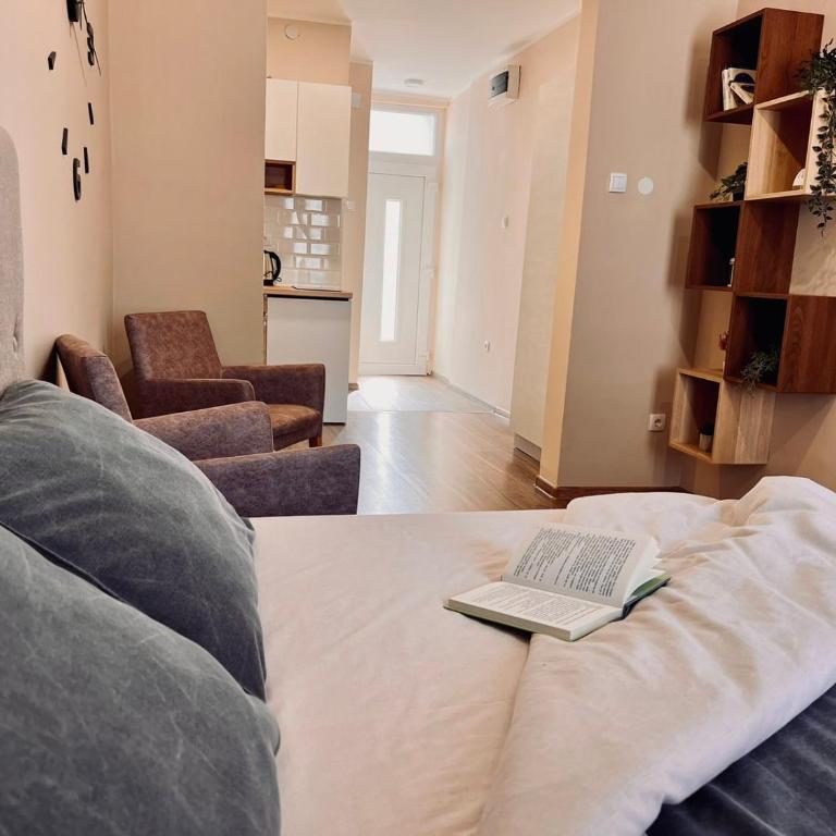 Old Gold Downtown Belgrade - Studio Apartman - 3