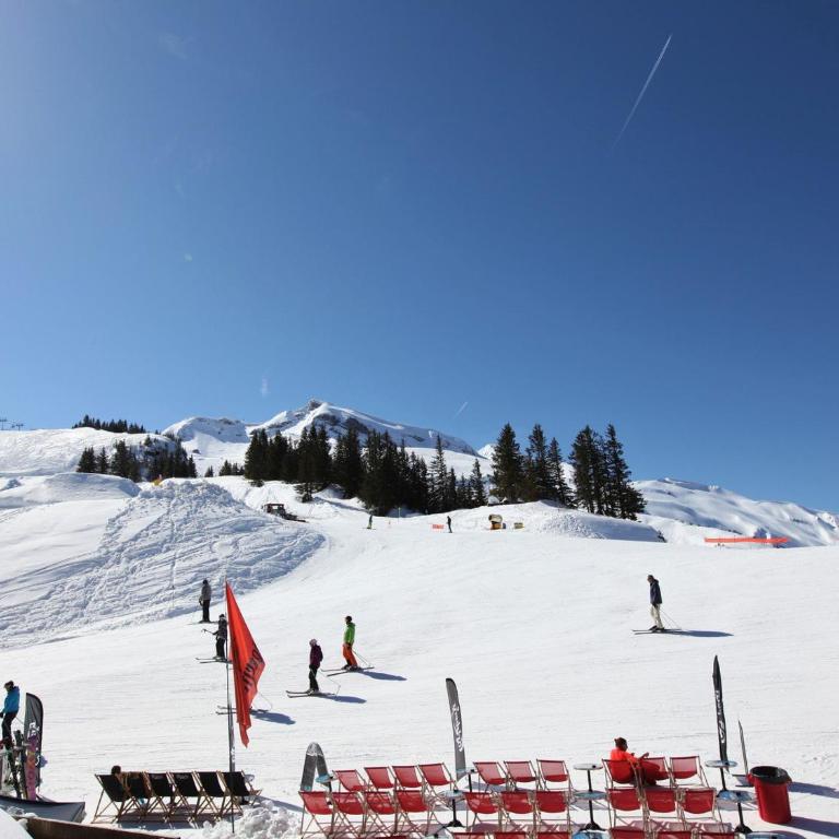 Appartement 5 personnes avec balcon et WIFI à Avoriaz - Appartement 1 Chambre - 8
