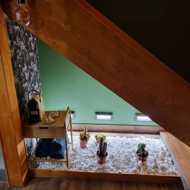 Tropic Love Room - Appartement 1 Chambre - 2