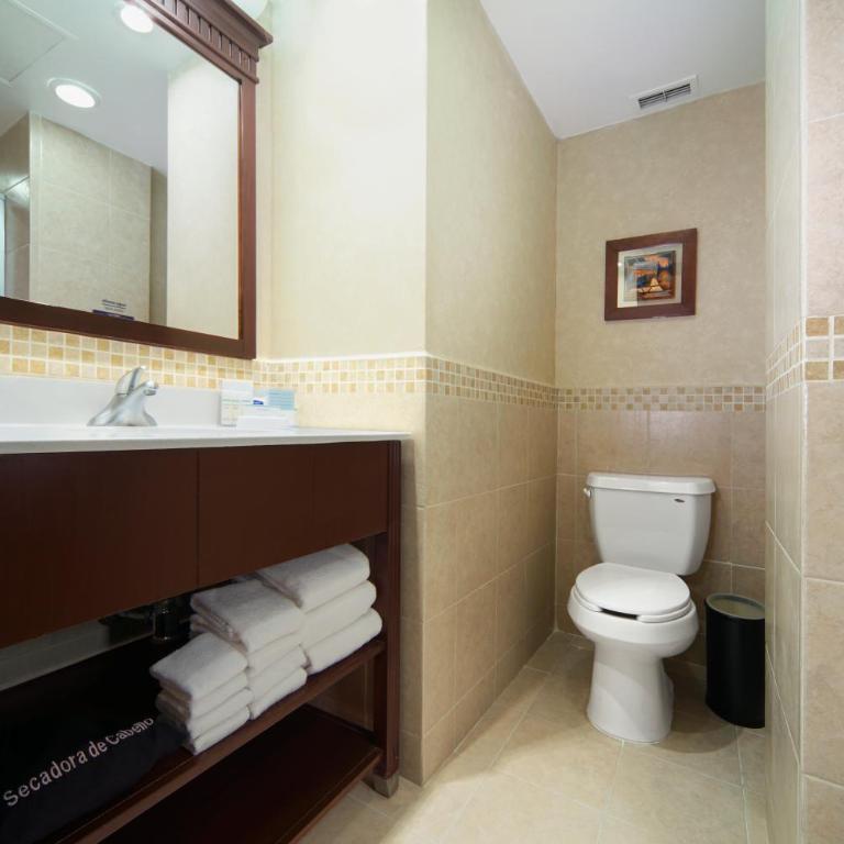 Hampton Inn & Suites Mexico City - Centro Historico - Estudio con cama extragrande y sofá cama - 4