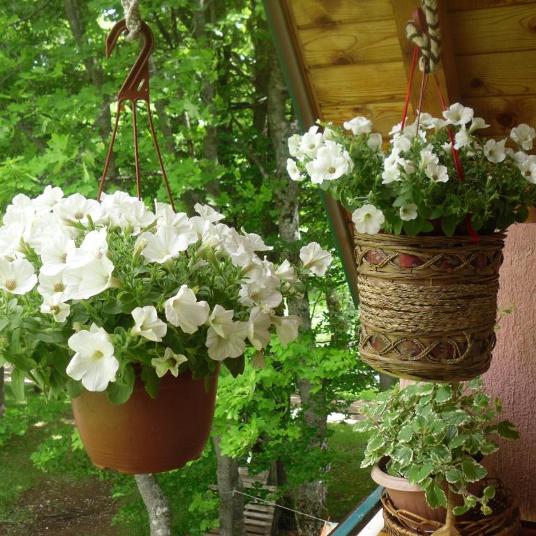 House Jaksic - Chalet - 13