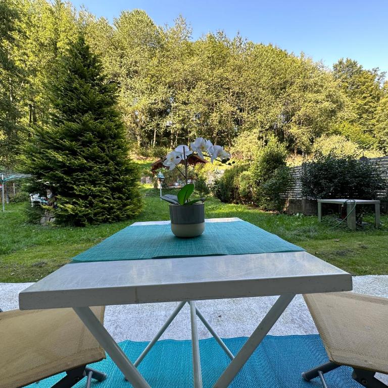 Pöstlingbergoase - Apartment mit Gartenblick - 22