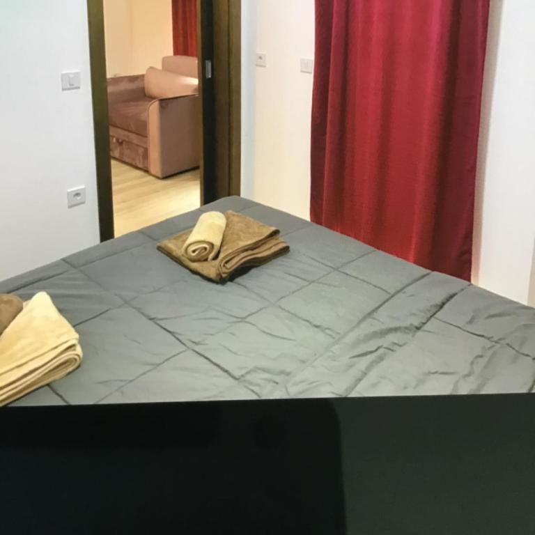 De Lux Nedeljkovic - Apartman sa 1 Spavaćom Sobom - 79