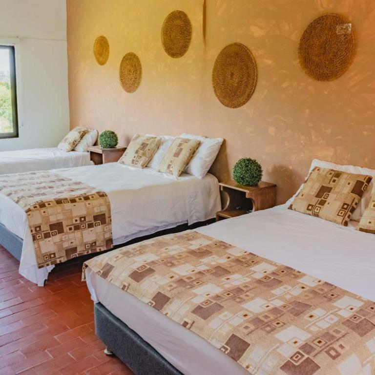 Hotel Vivero Arte Vivo I Quindío I Eje Cafetero - Suite Junior Familiar - 8