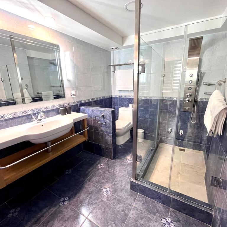 Skyline Santiago - Apartamento de 3 dormitorios - 13