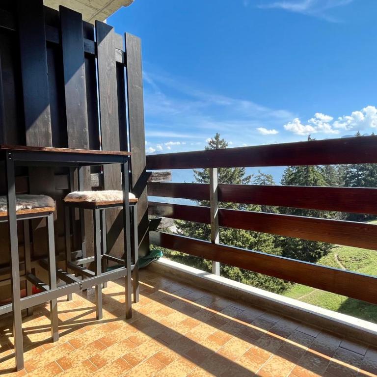 Grand Roc - Appartements & Studios - ANZERE - Deluxe Studio - 11