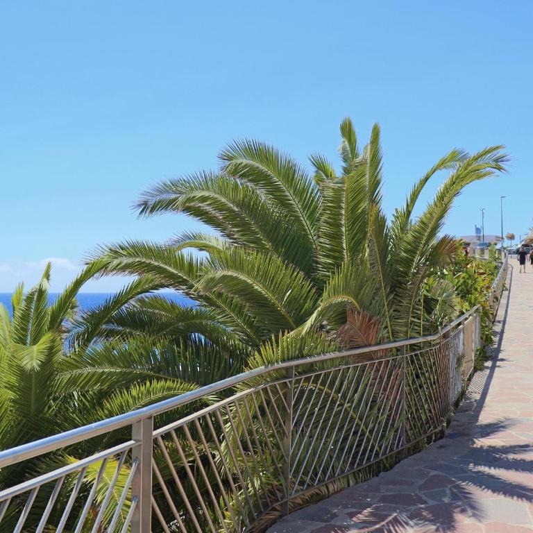 Playa Ajabo Beachfront Apartment - Apartamento - 39