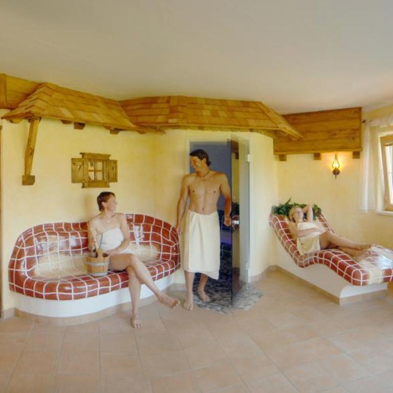 Landhaus Kirchgasser - Monolocale con Vista Montagna - 28