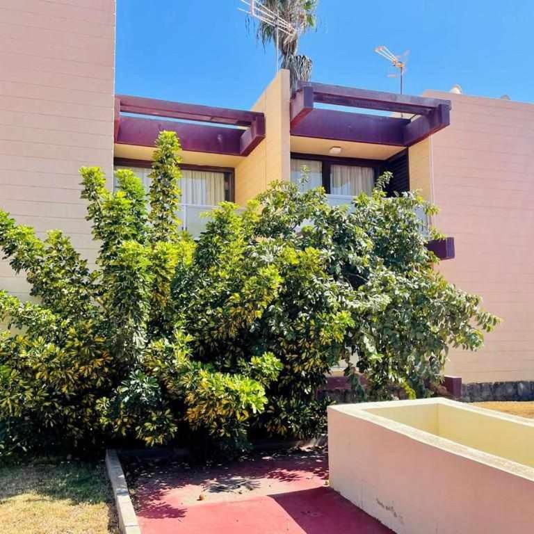Brisa Marina Live Canarias - Apartamento con terraza - 25