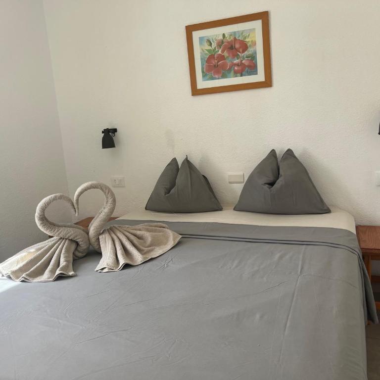 Casa Parque Don Jose 3 - Apartamento de 1 dormitorio - 7