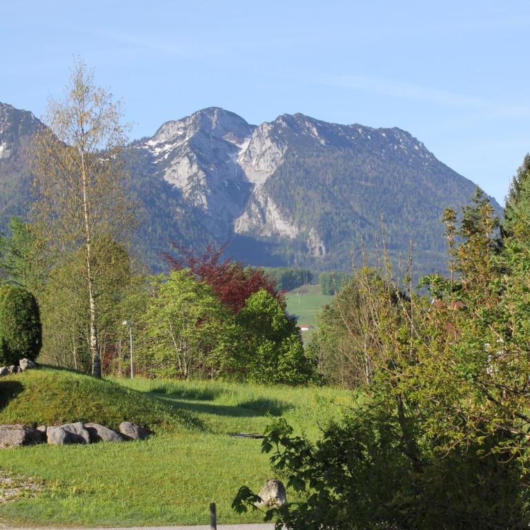 Apartment Andrea - Chiemgau Karte - Studio - 20