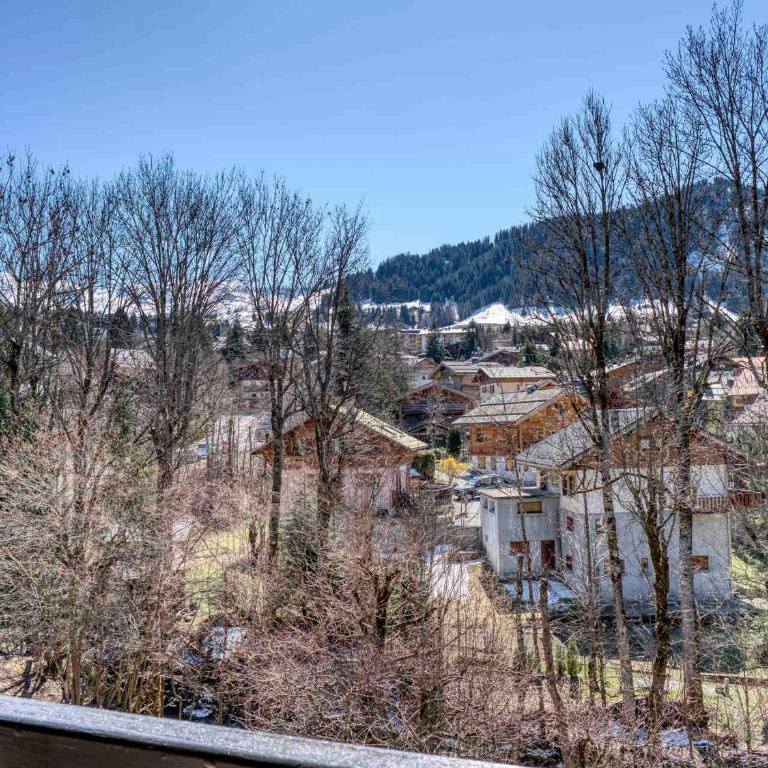 Appartement confort 2 pièces Megève - Wifi, Parking - Appartement 1 Chambre - 9