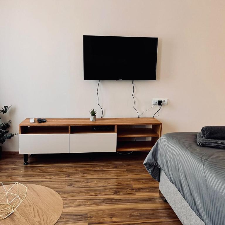 Dani Lux Belgrade Center Studio Apartment - Apartman sa 1 Spavaćom Sobom - 6