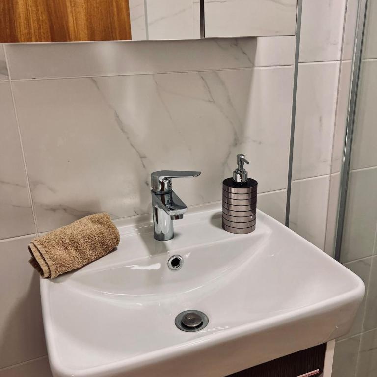 Dani Lux Belgrade Center Studio Apartment - Apartman sa 1 Spavaćom Sobom - 21