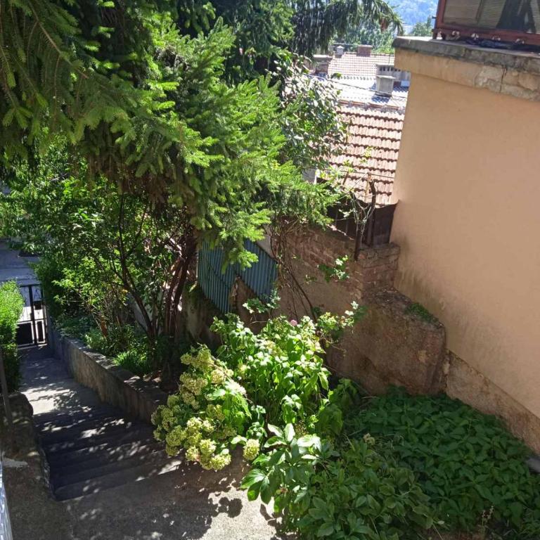 View - Appartement 1 Chambre - 15