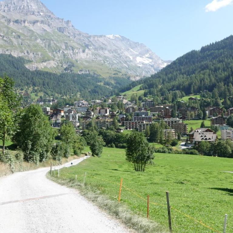 Wohnungen Matterhorn & Aletschhorn im Valere B Leukerbad - Studio mit Bergblick - 15