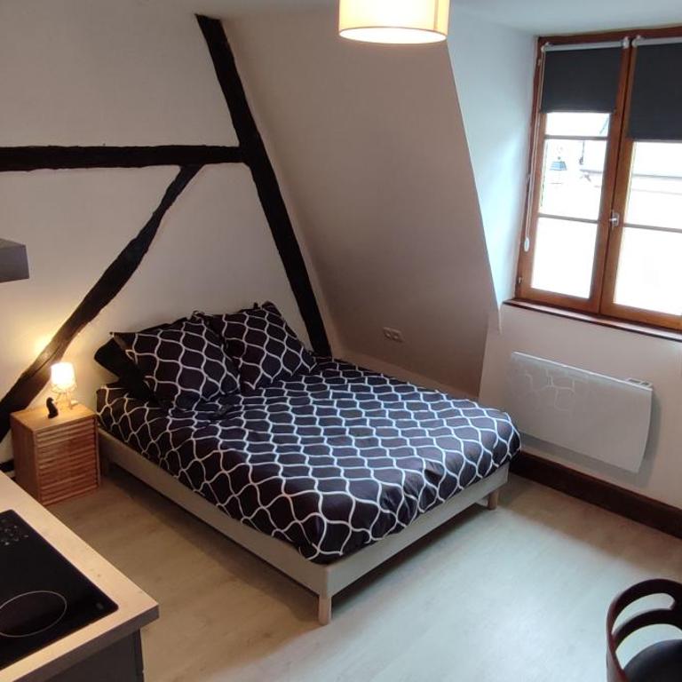201 Studio Historique à Colombages - Appartement 1 Chambre - 10