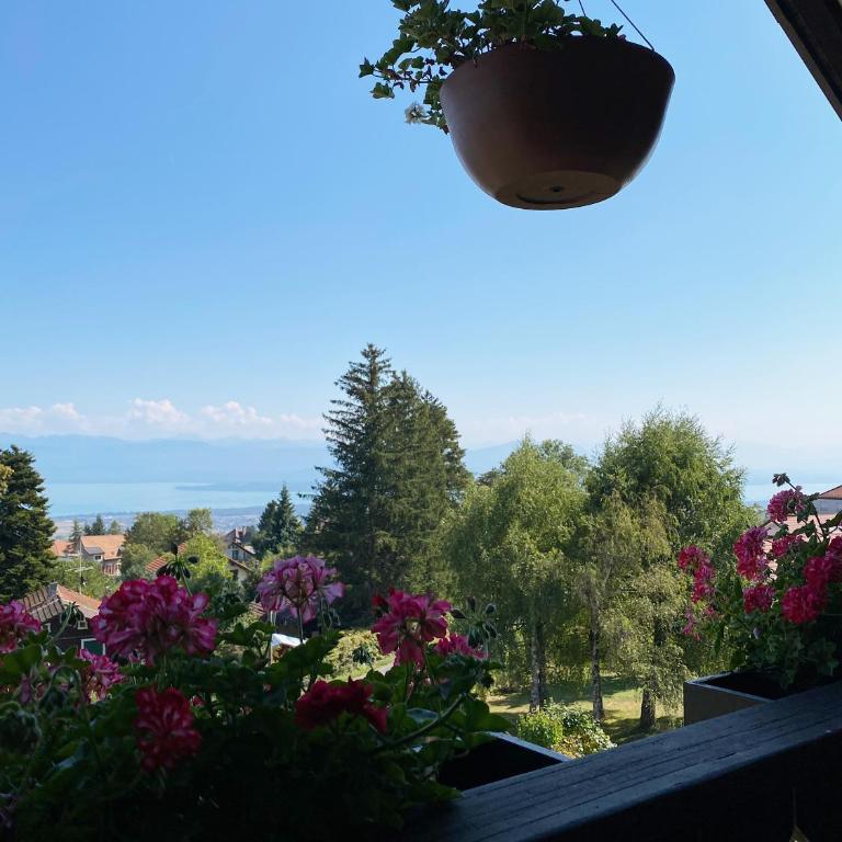 BnB La Clemonie - Apartment mit Blick auf die Berge - 3