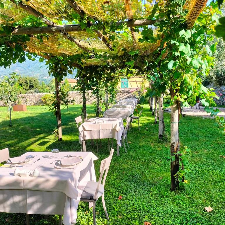 Badia Giulia Prestigious Historical B&B, Camaiore - Adults Only - No Pets - Camera King Deluxe - 7