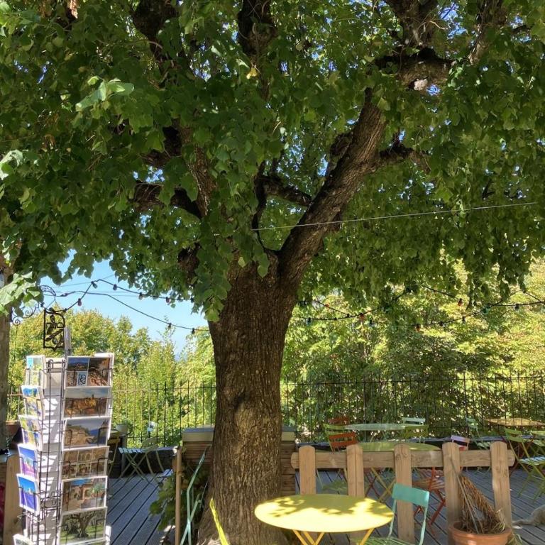 Malaucène Villa Mont Serein - Casa con 4 camere da letto - 35