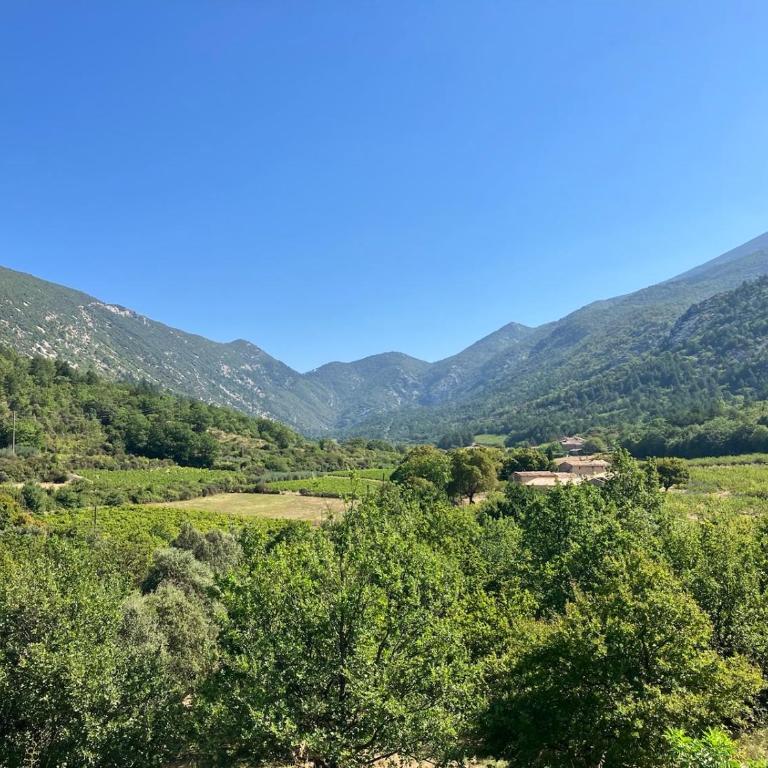 Malaucène Villa Mont Serein - Casa con 4 camere da letto - 31