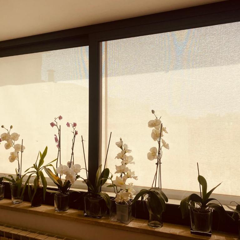 La casa di Dani - Appartamento con 2 Camere da Letto - 13