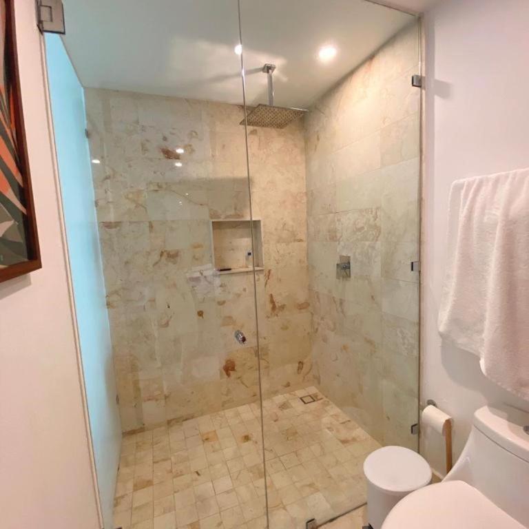 Apartment in Playa Del Carmen, Two Bedroom 5th Ave Location - Apartamento de 2 dormitorios - 4