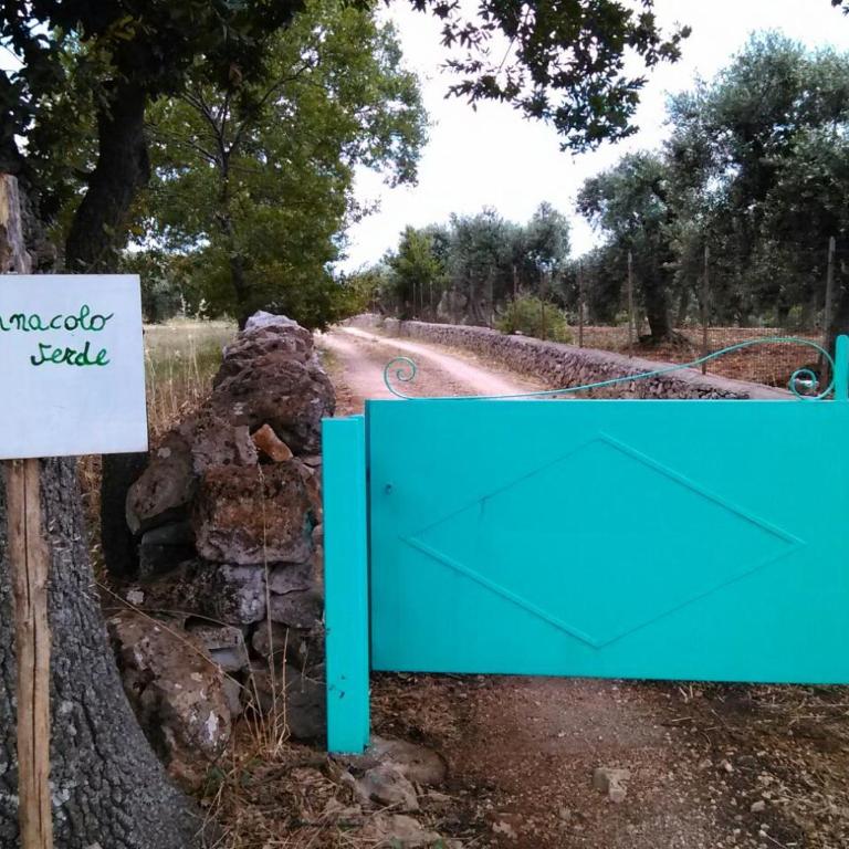 Trulli Il Pinnacolo Verde - Casa Vacanze - 36