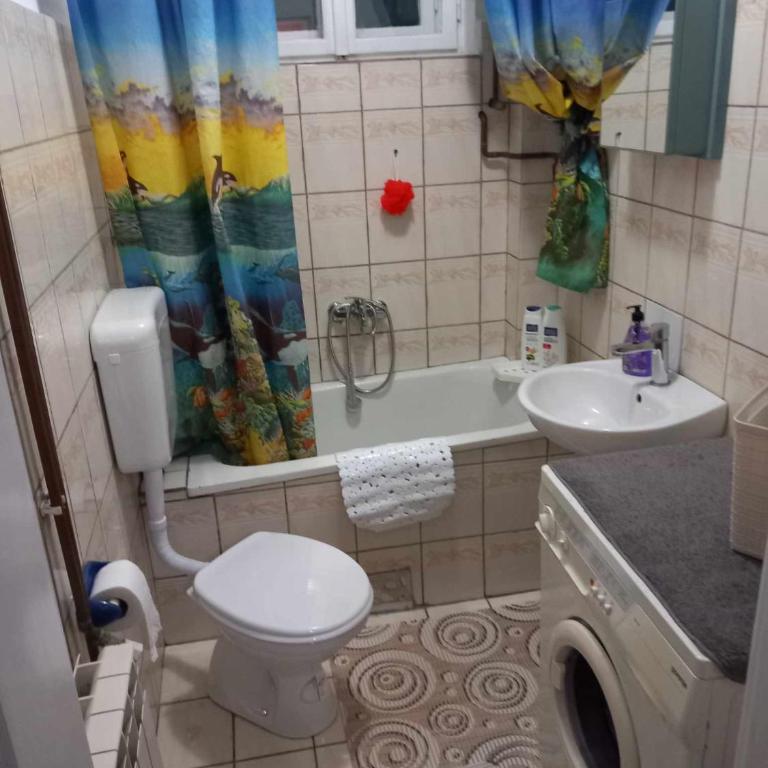 View - Appartement 1 Chambre - 17