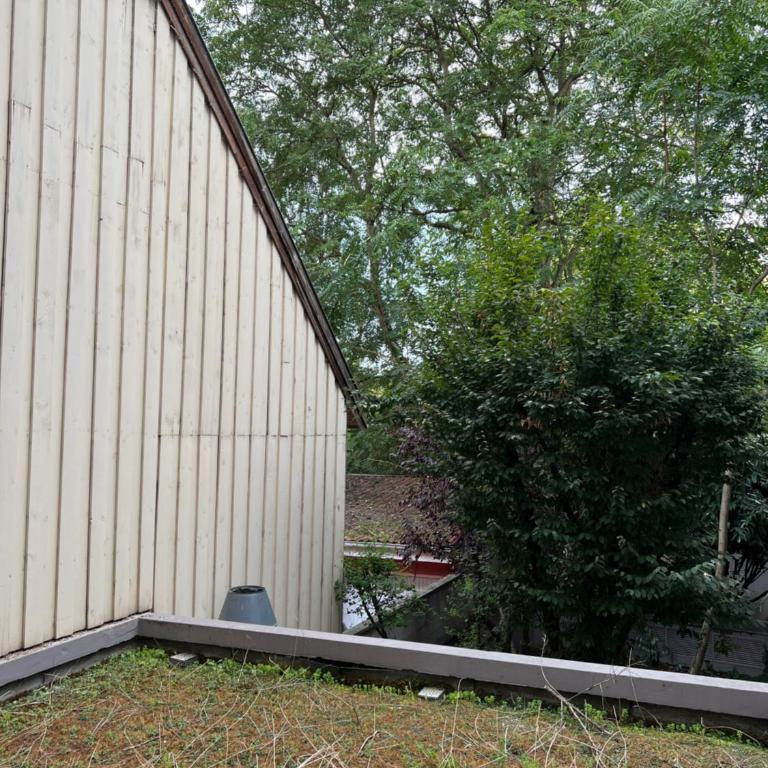 Le K Appartement - Strasbourg - Three-Bedroom Apartment - 45