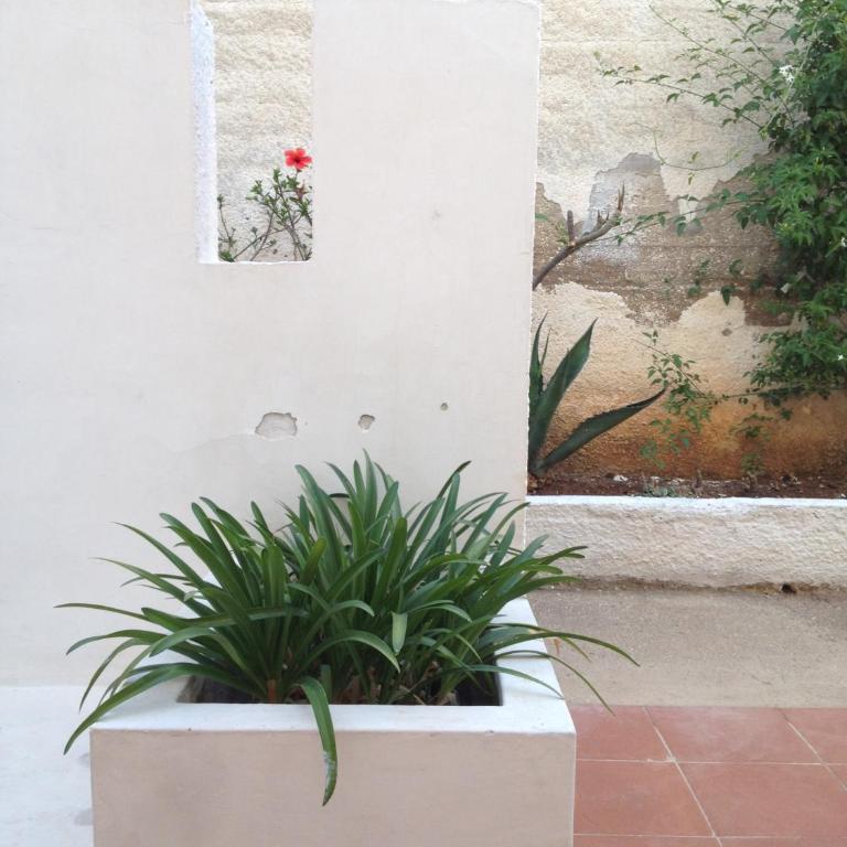 Casa Mamma Bruna - Casa Vacanze - 11