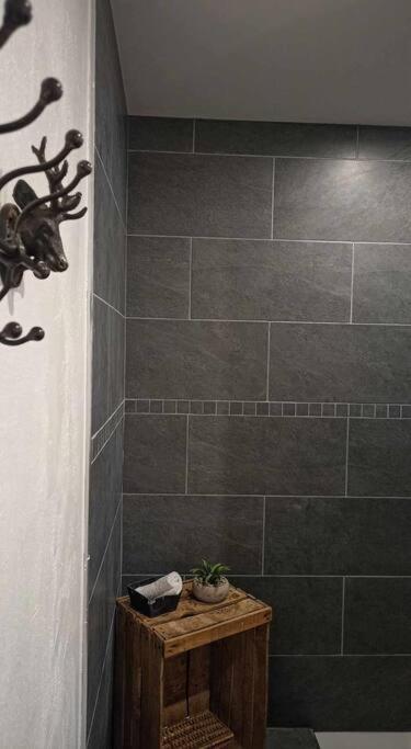 LE MAZOT-SPA HIVER ET ETE-Piscine-Proche lac-Charme-Détente - Appartement 1 Chambre - 15